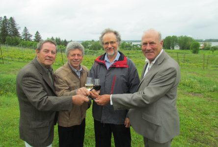 Six vignobles du Centre-du-Québec vous ouvrent leurs portes