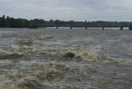 La rivière Saint-François sous surveillance continue