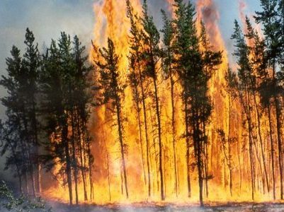 Incendies de forêt: risque élevé dans tout le Québec avec l’arrivée du printemps