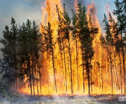 Incendies de forêt: risque élevé dans tout le Québec avec l’arrivée du printemps