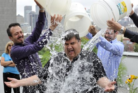 Une découverte scientifique aurait été faite grâce au Ice Bucket Challenge