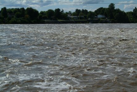 La rivière Saint-François sous surveillance