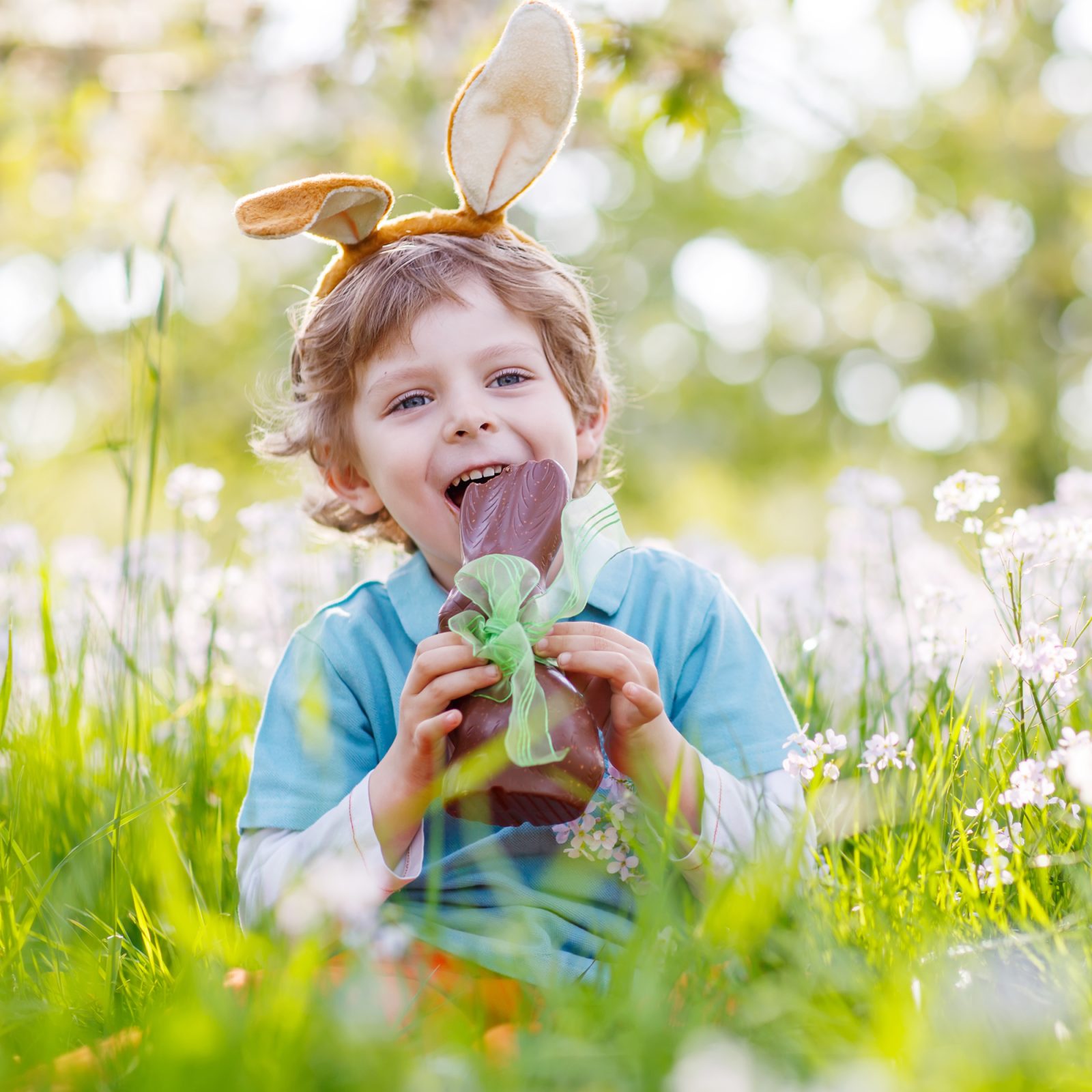 La plupart des gens mangent tout d’abord les oreilles du lapin en chocolat