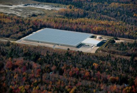 Demers choisit Drummondville pour construire la plus grosse serre de tomates au Québec
