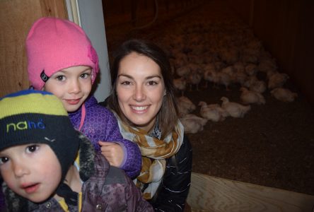 Andréane Benoit et ses 44 000 poules