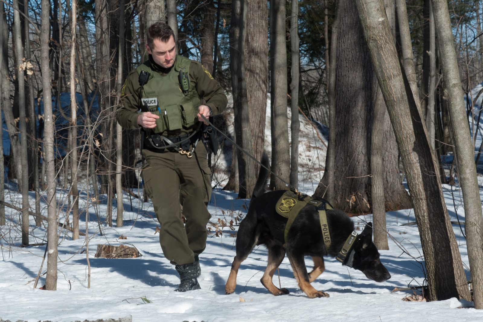 Le chien policier Hyke, un atout pour la Sûreté du Québec