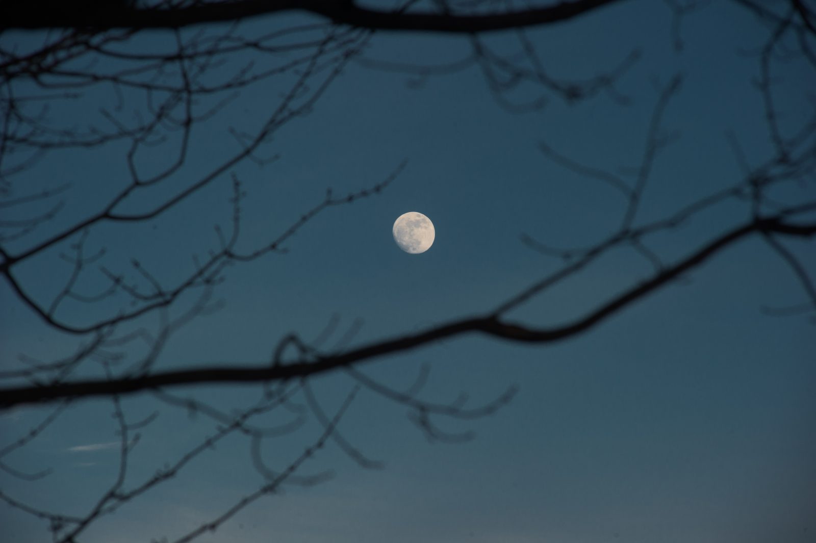Une rare «super lune bleue de sang» sera visible demain matin