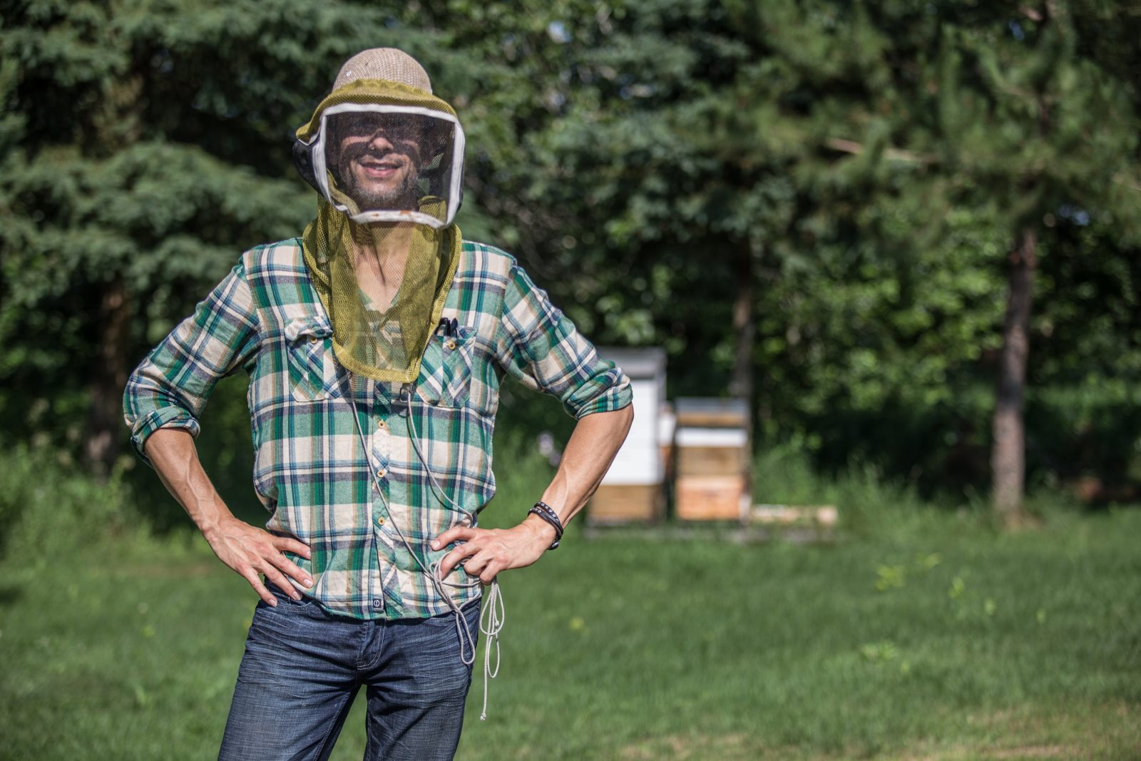 «Ce n’est pas un bon temps pour être une abeille» – Davy Gallant