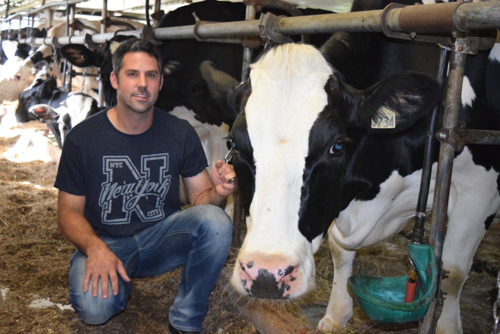 ALENA : Les producteurs laitiers craignent le pire