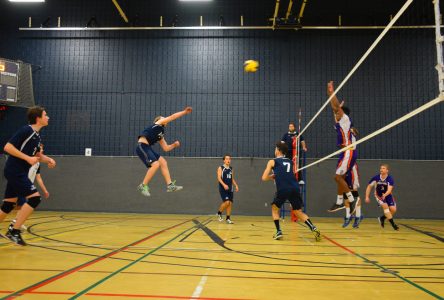 Volleyball collégial : des signes encourageants pour l’équipe masculine