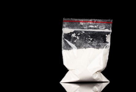 Trafic de stupéfiants : la police saisit cocaïne et argent