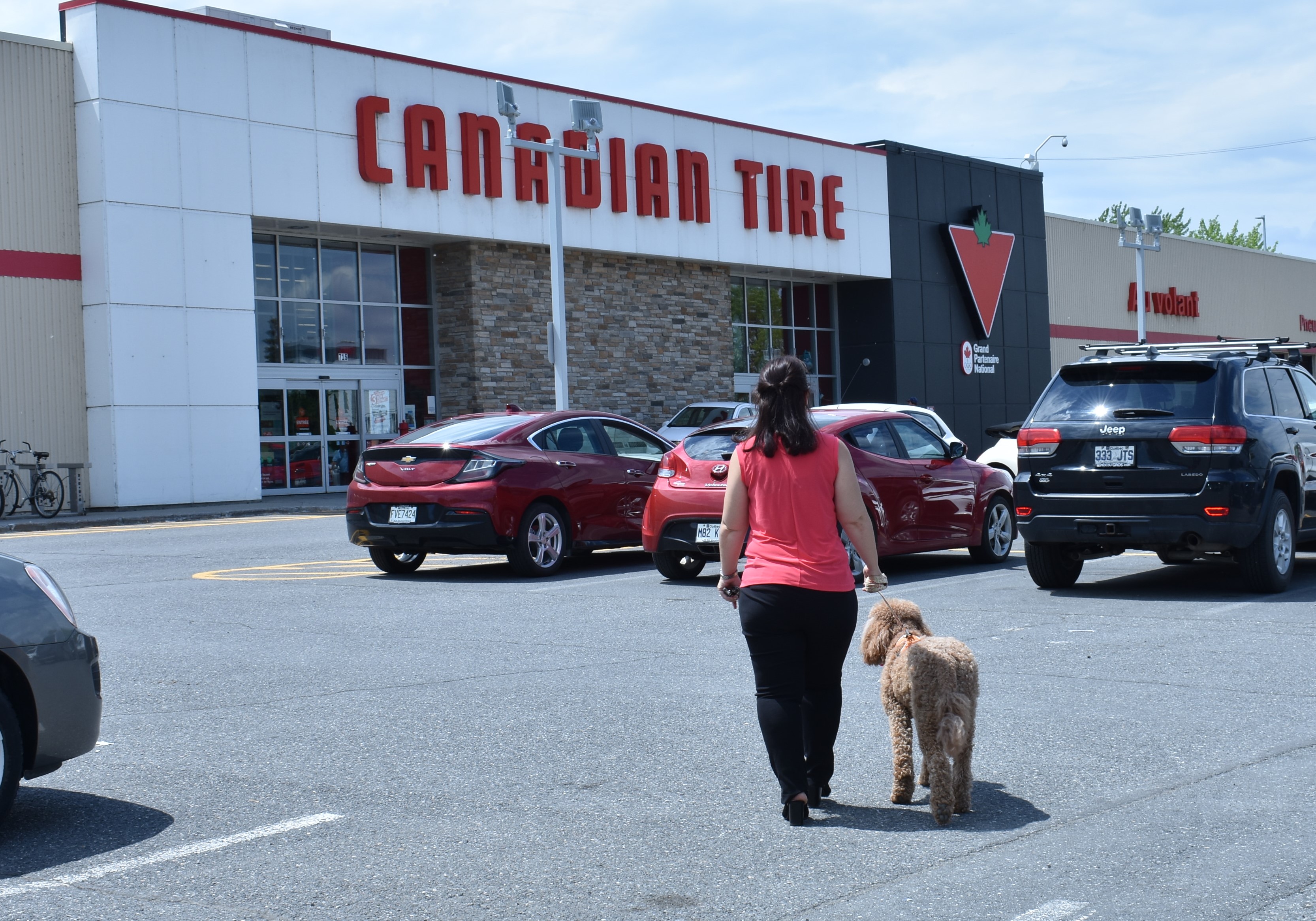 Canicule : les chiens tolérés au Canadien Tire de Drummondville - L'Express