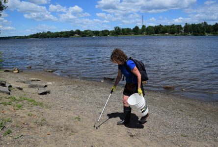 Des citoyens nettoient les berges de la rivière Saint-François