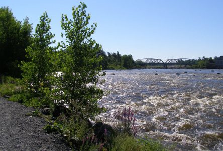 Les citoyens invités à nettoyer les berges de la rivière Saint-François
