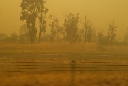 «Il pleut des cendres en Australie» – Samuel Gaudreau