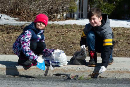 Une famille ramasse des déchets… pour passer le temps 