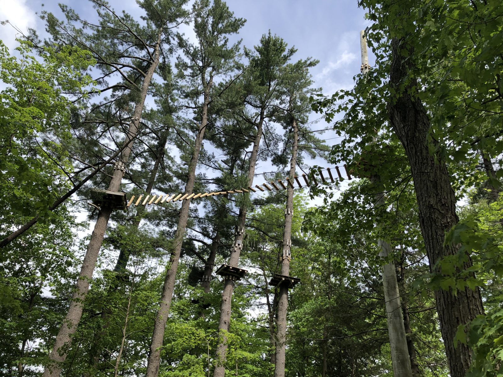 D’Arbre en arbre rouvrira le 20 juin après un investissement de 130 000 $
