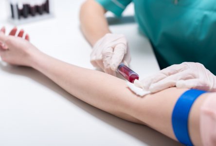 Dons de sang : Héma-Québec s’inquiète du taux d’annulation de rendez-vous