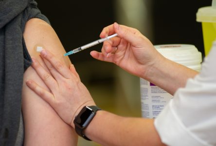 COVID-19 : 95 % des cas rapportés chez les non-vaccinés