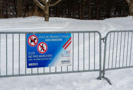 Marcheurs : attention aux sentiers de ski de fond