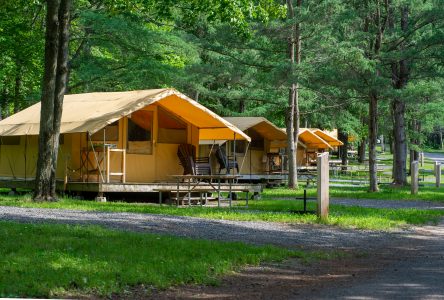 Le camping des Voltigeurs se met à jour