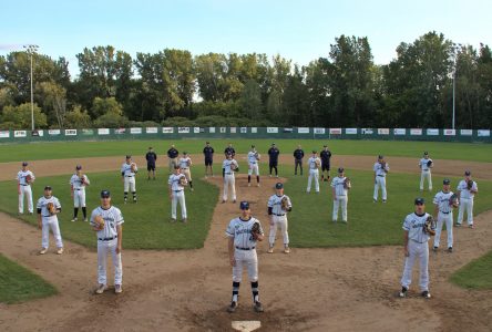 Les Voltigeurs baseball nommés meilleure équipe collégiale au pays