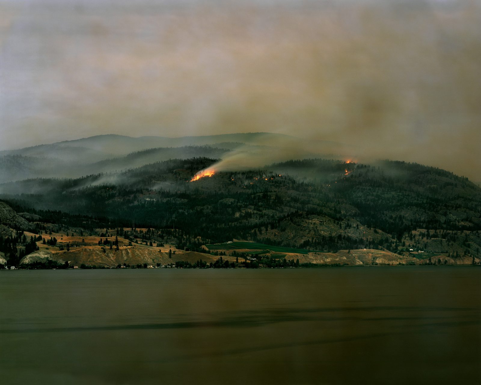 Andreas Rutkauskas présente une exposition sur les feux de forêt