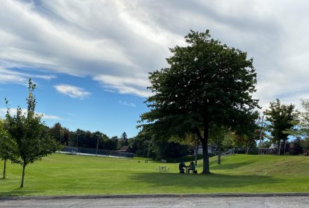 Un parc inclusif multisensoriel verra le jour à Drummondville
