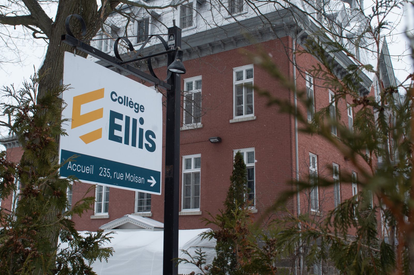 Le Collège Ellis enregistre une hausse des demandes d’admission à l’international