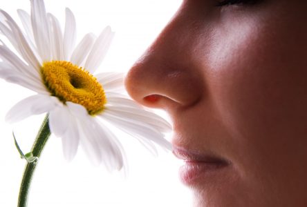 Des chercheurs font appel aux personnes ayant perdu l’odorat après la COVID-19