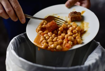 Pertes et gaspillage alimentaires : un premier portrait pour le Québec