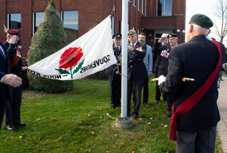 Un drapeau hissé en mémoire des sacrifices des anciens combattants (photos)