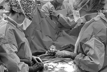 Réorganisation des horaires : les chirurgiens généraux craignent le pire