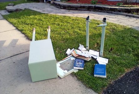 Un croque-livres vandalisé sur le boulevard des Ormes