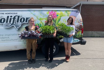 Le Centre horticole Foliflor fait don de plants de légumes au Comptoir alimentaire