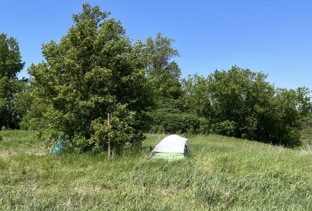 Campements urbains : une situation préoccupante selon La Piaule