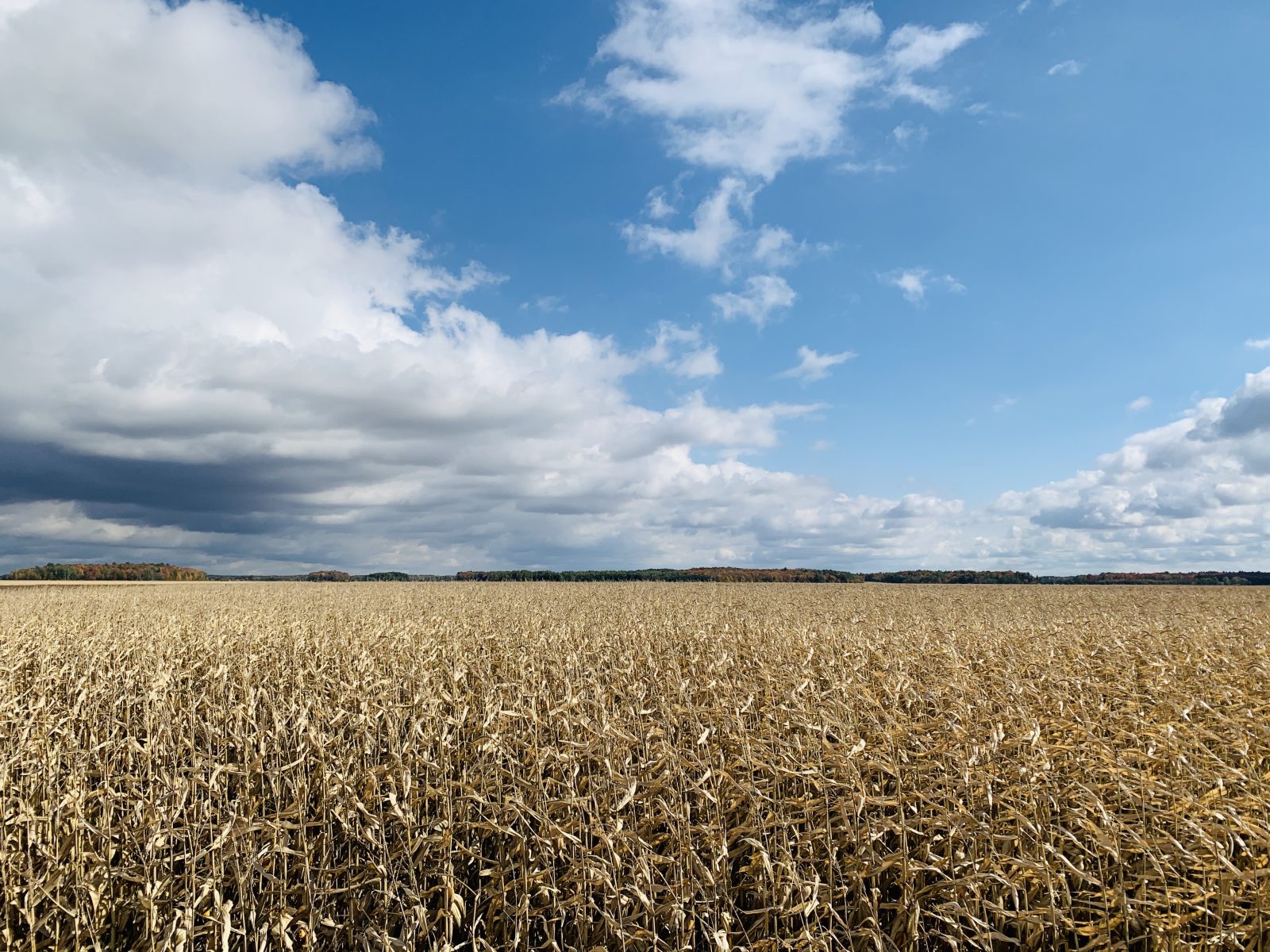 Québec lance la Consultation nationale sur le territoire et les activités agricoles