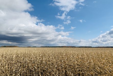 Québec lance la Consultation nationale sur le territoire et les activités agricoles