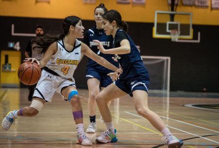 Basketball féminin : les Voltigeurs visent le top quatre