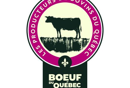 Une nouvelle certification Bœuf du Québec pour favoriser l’achat local