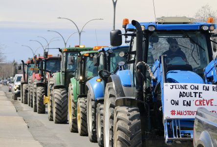 Mobilisation des agriculteurs : «Notre paye a diminué de moitié»