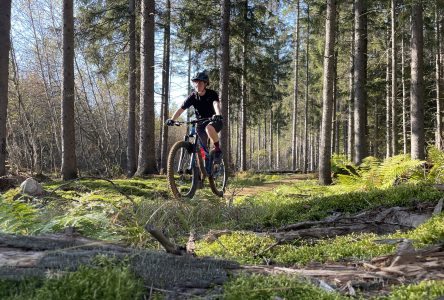 Vélo de montagne : la saison est lancée dans le parc régional de la Forêt Drummond